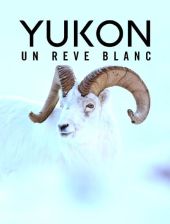 Jukon: Biały sen